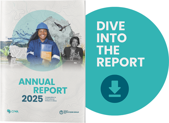 Dive into the report