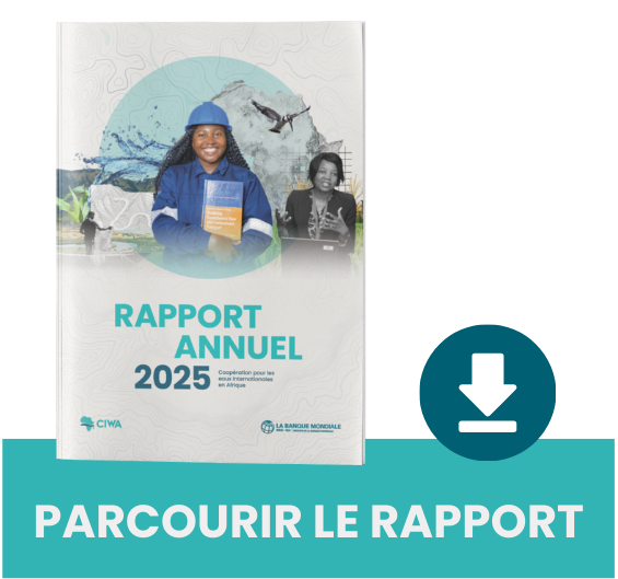 Dive into the report