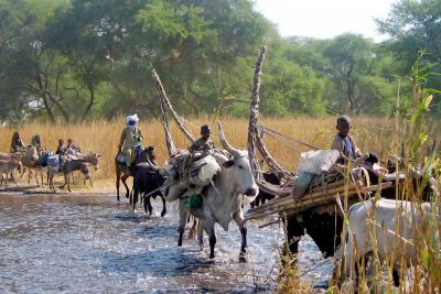 REFLECTING ON 20 YEARS OF TRANSBOUNDARY WATER ENGAGEMENT IN WESTERN AFRICA