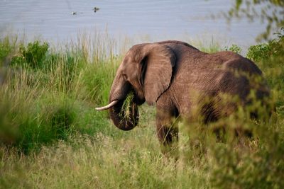 TRANSBOUNDARY WATERS AND BIODIVERSITY CONSERVATION: HOW CIWA BECAME A CHANGE-MAKER