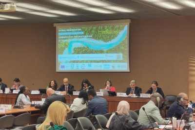 Global Workshop on Ecosystems Conservation and Restoration in Transboundary Basins