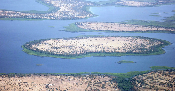 Plan d’action pour le développement et l’adaptation au changement climatique du bassin du lac Tchad (en anglais)
