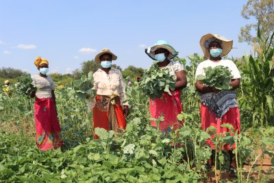 PROVIDING WATER FOR FOOD SECURITY TO LOCAL COMMUNITIES IN SADC COUNTRIES