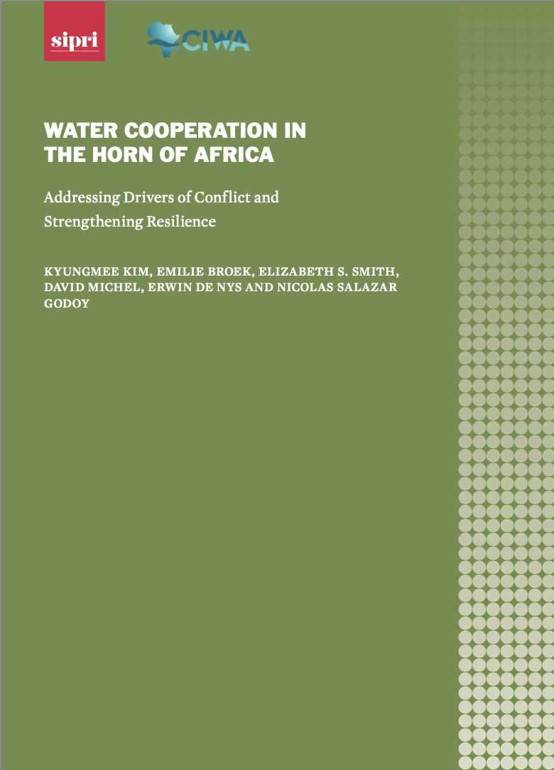 Coopération dans le domaine de l'eau dans la Corne de l'Afrique : s'attaquer aux facteurs de conflit et renforcer la résilience (en anglais)