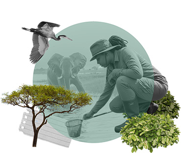 Biodiversity & Conservation