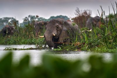 LAKE VICTORIA: PROTECTING THE LARGEST OF THE AFRICAN GREAT LAKES